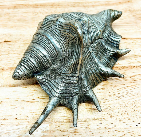 Vintage silver style metal decorative seashell.