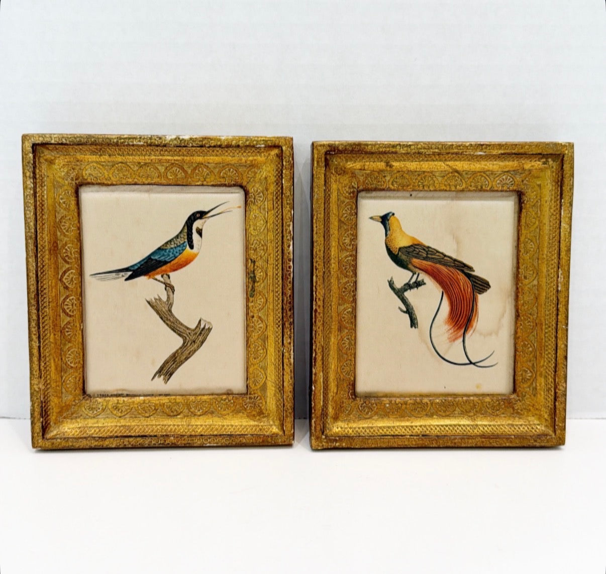 Pair of vintage Florentine style framed birds