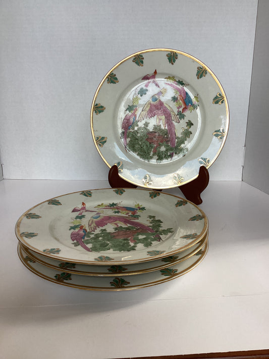 Set of 4 Plates - Phoenix Plates