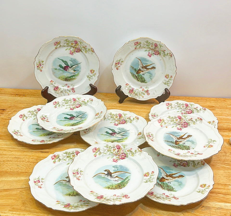 Set of 10 antique late 1800s flying birds