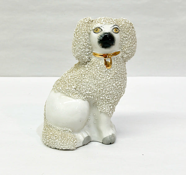 Antique white curly hair Staffordshire pup with gold metallic collar