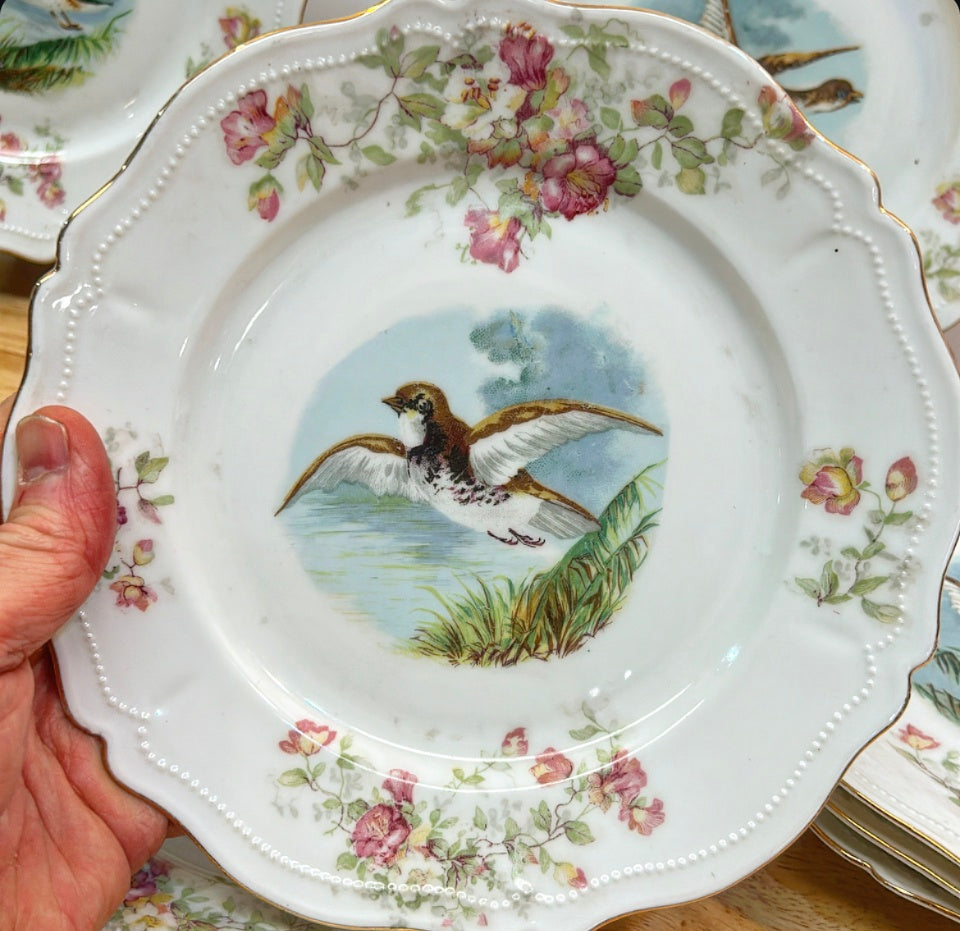 Set of 10 antique late 1800s flying birds